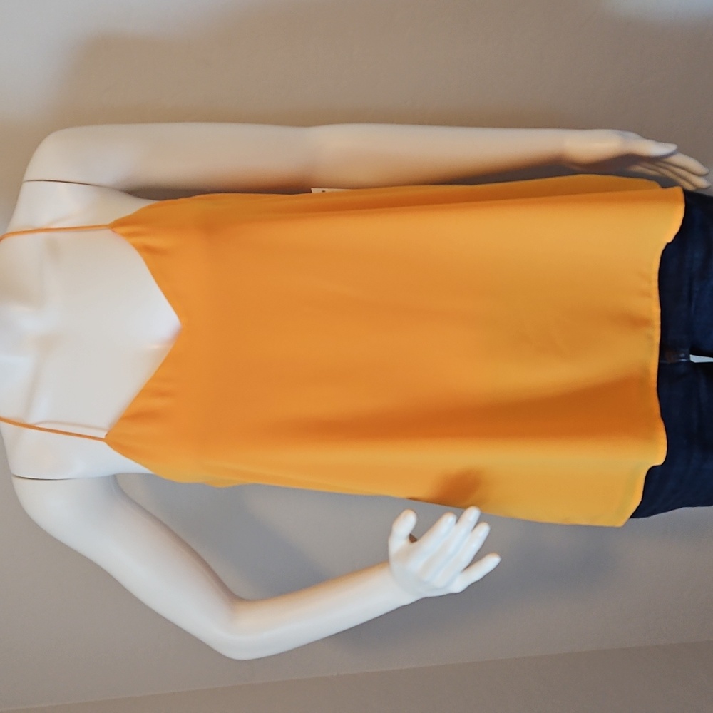 NWT Express reversible cami